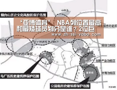 ‘亚博体育’
NBA列位置最高和最矮球员划分是谁?2位巨人2米31 一对相差48cm(图3) 亚博官网