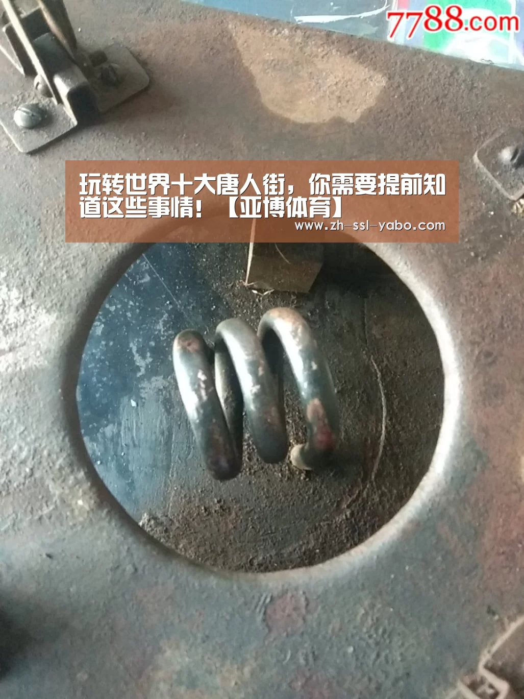 玩转世界十大唐人街,你需要提前知道这些事情!【亚博体育】(图3) 亚博官网